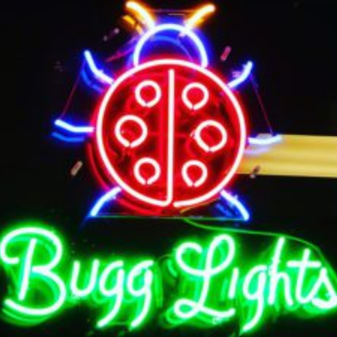 Bugg Lights Museum